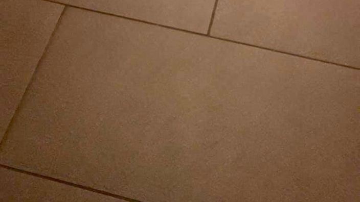 Meisterpflicht
