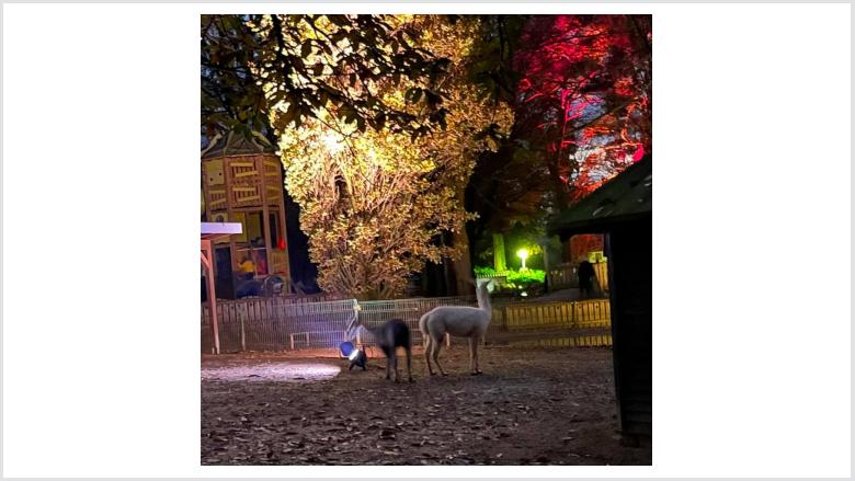 Licherfest im Tiergarten Odenkirchen