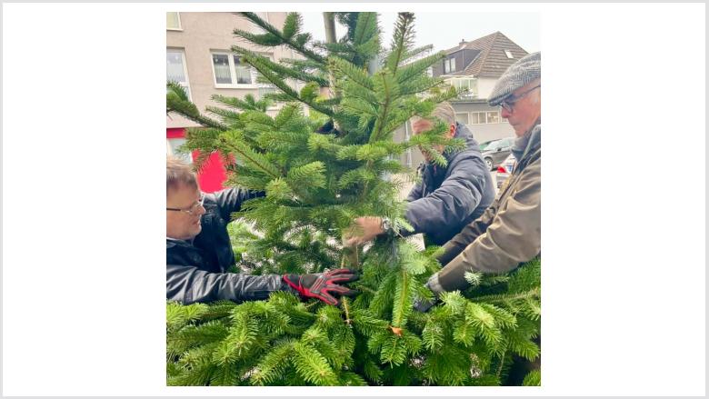 Weihnachtsbäume für Windberg 