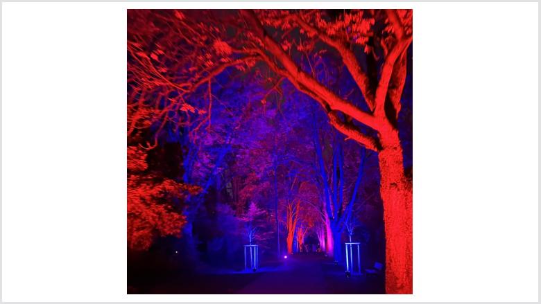 Illumina auf dem Friedhof