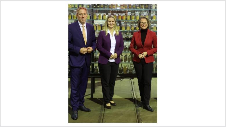 Reform der Bauordnung